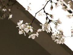 -双湖宴·湖北菜(文化路店)