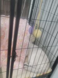 -镁连社·美联社