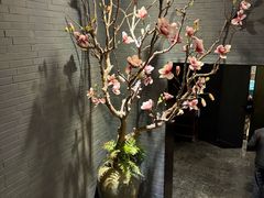-宋宴(虎跑店)
