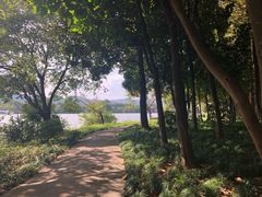 -浙江西子宾馆·牡丹厅