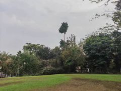-中国科学院西双版纳热带植物园