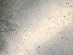 -望京西(地铁站)