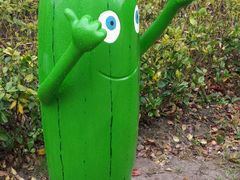 -黄海国家森林公园