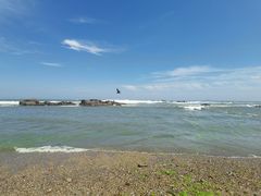 -海合安青岛极地海洋公园