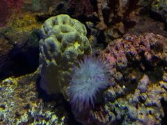 -上海海洋水族馆