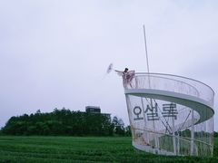 -雪绿茶博物馆