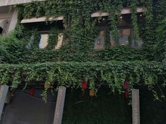 -食欲老院子荆芥疙瘩汤(经五路店)