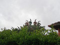 -达蓬山星梦乐园