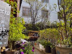 -蓝壁虎咖啡酒馆