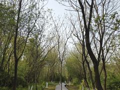 -盘龙城国家考古遗址公园