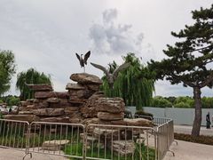 -长春市南湖公园