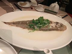 -陶陶居海鲜酒家(新马路店)
