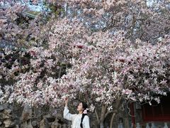 -潭柘寺景区