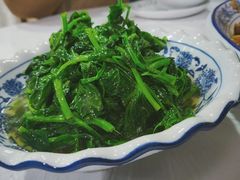 清炒豆苗-广迎居老正兴菜馆