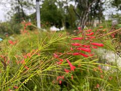 -广东中医药博物馆