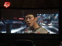 -枫花园汽车电影院(朝阳公园店)