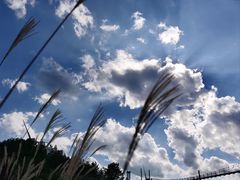 -龙里油画大草原旅游区