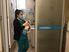 -美迦爱-牙专科·兔科·骨科诊疗中心(北苑店)