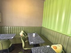 -油梨树AVOCADO TREE(顺义新国展店)