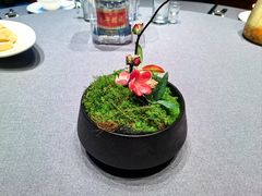 -荷塘秋月·本帮江浙菜(国权路店)