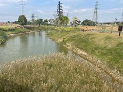 -王借岗森林公园