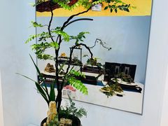 -东平国家森林公园