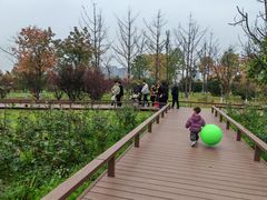 -汉长安城未央宫国家考古遗址公园