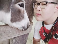 -清迈夜间动物园
