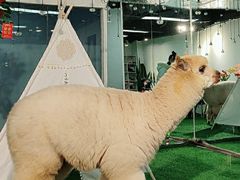 -武汉5D星空错觉艺术馆(中心百货店)