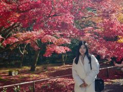 -西芳寺(苔寺)