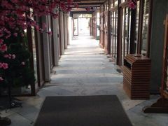 -张家港金凤凰度假村温泉