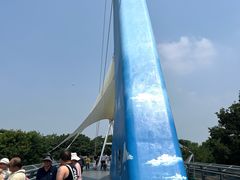 -合肥野生动物园