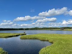 -塞罕坝国家级自然保护区