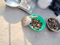 -海天市场(淮河路店)