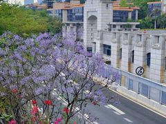 -厦门大学(思明校区)