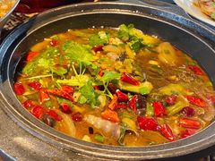 -铂米星座(瑞安店)