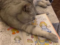 -隅cafe(傅厚岗店)