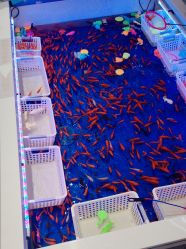 -孩子王童乐园(洛阳万达店)