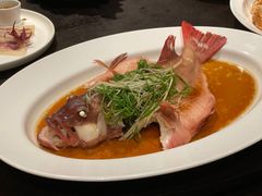 清蒸东星斑-宝丽轩中餐厅BAOLIXUAN