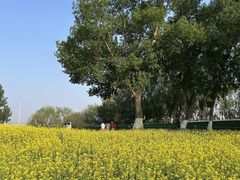 -长白岛森林公园