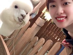 -藦茜花园宠物主题亲子互动体验馆(国顺东路店)