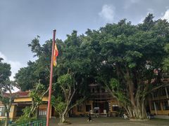 -漳州云洞岩风景区-瑞竹岩