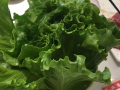 -古乐牛香·鲜牛肉牛杂火锅(新区店)