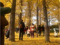 -石家庄市植物园