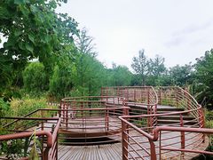 -同里国家湿地公园