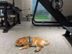 -mYSTEPS健身运动馆(古北店)