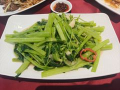 -金苑海鲜酒家(新港中路店)