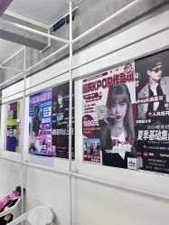 -wow舞蹈培训