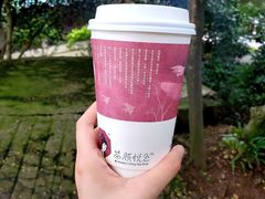 -茶颜悦色(岳麓山顶店)