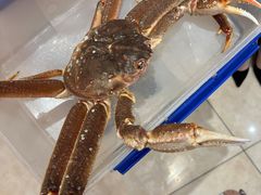 -红顶食府(滨湖九号店)